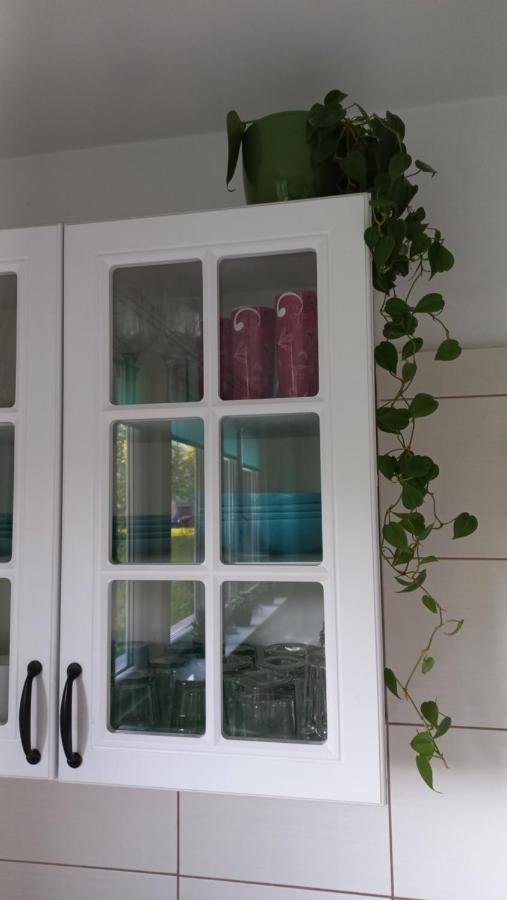 Global Trip Apartament Stadion Zimowy Tychy Buitenkant foto
